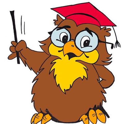 Timeline: Команда "Мудрые совы"