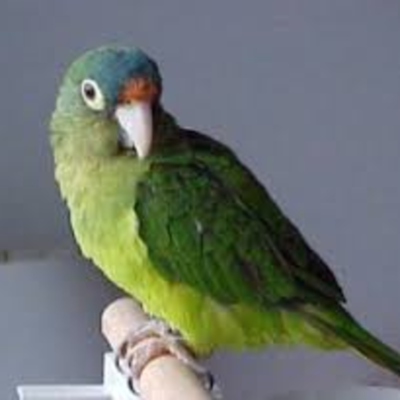 Timeline: Historia de las redes sociales