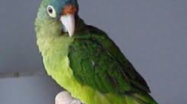 Timeline: Historia de las redes sociales