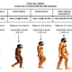 Linea del tiempo evolución del hombre 1