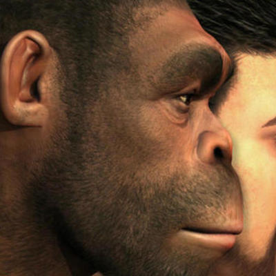 Timeline: Cómo nos convertimos en humanos
