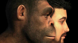 Timeline: Cómo nos convertimos en humanos