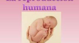 Timeline: Reproducion Humana