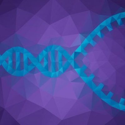 Timeline: DNA Replication