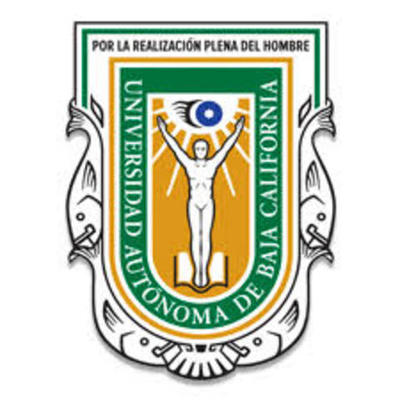 Timeline: Línea del Tiempo