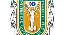 Timeline: Línea del Tiempo