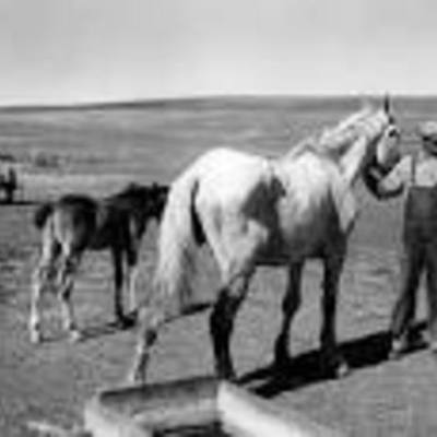 Timeline: Farm Bill Timeline