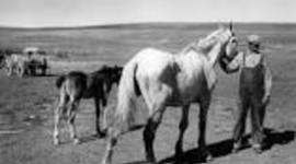 Timeline: Farm Bill Timeline