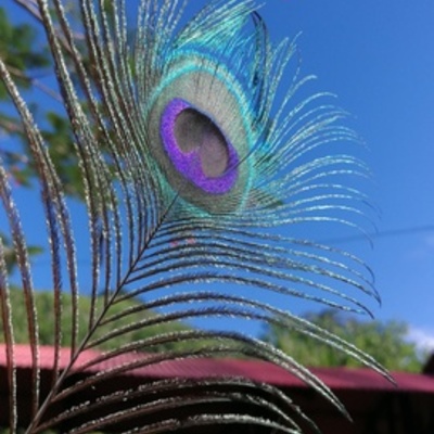 Timeline: The life Karol Andrea García