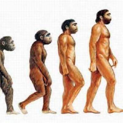 Timeline: Fijistas y evolucionistas