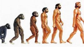 Timeline: Fijistas y evolucionistas