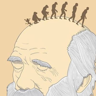 Timeline: El paso de fijistas a evolucionistas