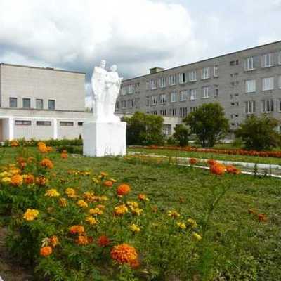 Timeline: Волонтеры в НТМСХ