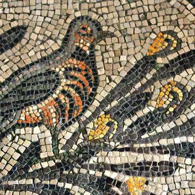 Timeline: Linea temporal del proyecto.