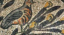 Timeline: Linea temporal del proyecto.