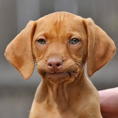 Timeline: Challenge B