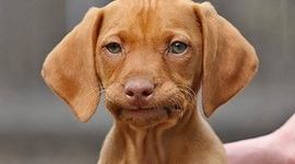 Timeline: Challenge B