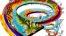Timeline: Földtörténet (X millió évvel ezelőtt)