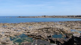 Timeline: Chronologie d' Armor Lux