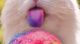 Timeline: logan lehigh