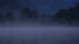 Timeline: Night Timeline