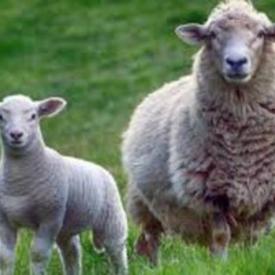 Timeline: Timeline of Colonial Events