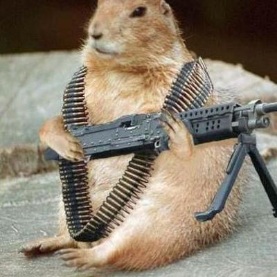 Timeline: Zach's timeline