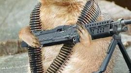 Timeline: Zach's timeline