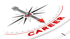 Timeline: Career Map