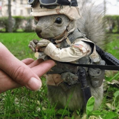 Timeline: Roey's timeline