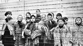 Timeline: Remembering The Holocaust