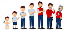 Timeline: LINEA DEL TIEMPO INMANOL