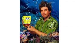 Timeline: Biografía de Stephen Hillenburg (creador de Bob Esponja) - Asiel Isai Gerardo Calleros