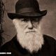 Thumb 600x0 charles darwin
