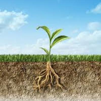 Timeline: linea de tiempo