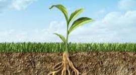 Timeline: linea de tiempo