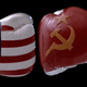 Rockyiv boxinggloves