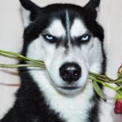 Timeline: Romanticisme