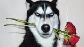 Timeline: Romanticisme