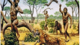 Timeline: Marcha Histórica de la Economía