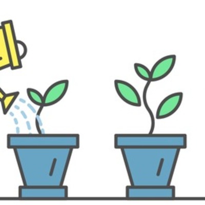 Timeline: 6.3 Learning Assessment