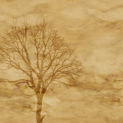 Timeline: Estatu modernoen sorrera eta monarkia autoritarioak