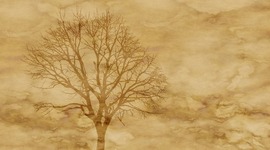 Timeline: Estatu modernoen sorrera eta monarkia autoritarioak