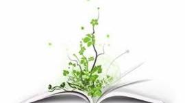 Timeline: la vida de María Bertó