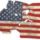 Crippled american flag
