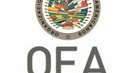 Timeline: Semana electiva: Misiones de Paz. Organización de los Estados Americanos.