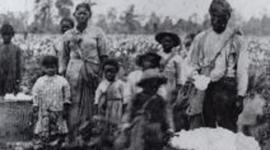 Timeline: Antebellum Timeline Project