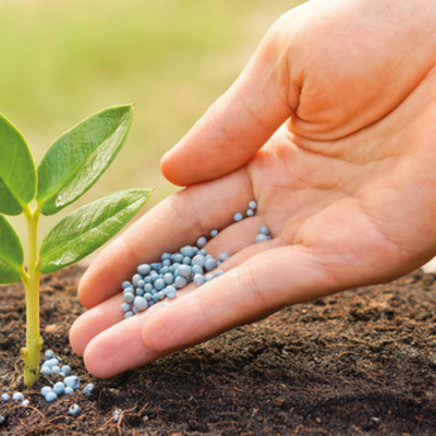 Timeline: Evolution of fertilizers throughout history