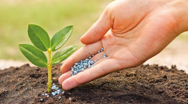 Timeline: Evolution of fertilizers throughout history