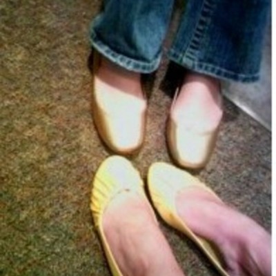 Timeline: The timeline